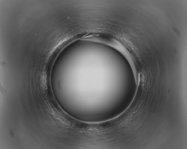 X0000090900684200708061504