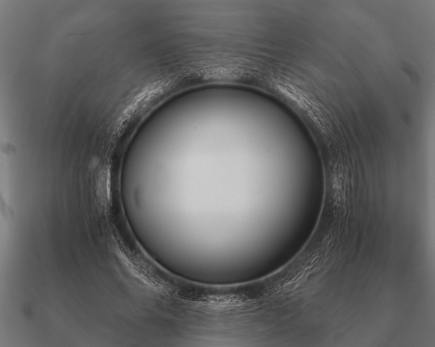 X0000090900686200708061504