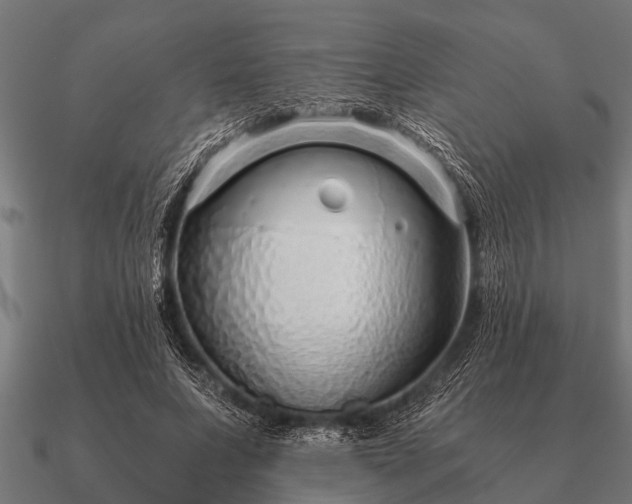 X0000090900687200708061504