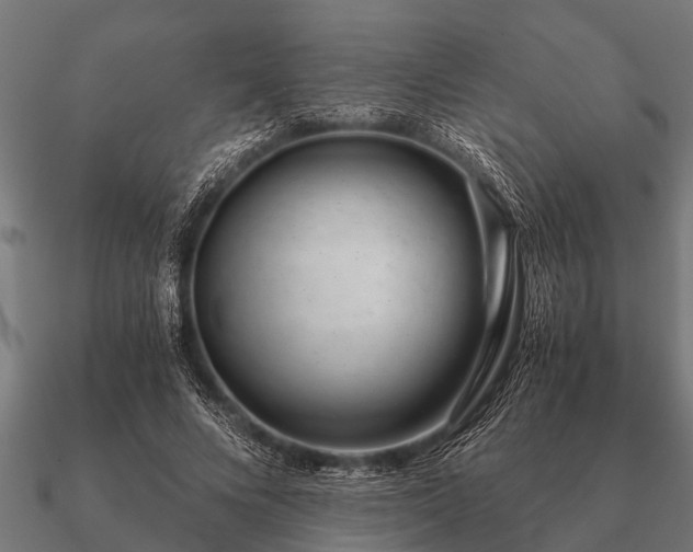 X0000090900688200708061504