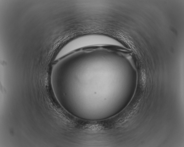 X0000090900689200708061504