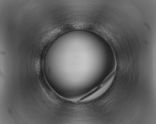 X0000090900690200708061504