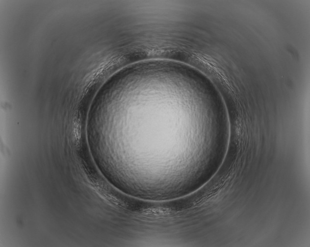 X0000090900691200708061504