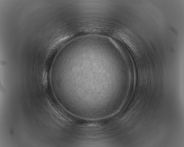 X0000090900692200708061504