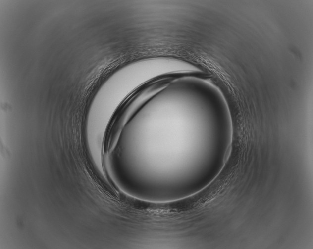 X0000090900693200708061504