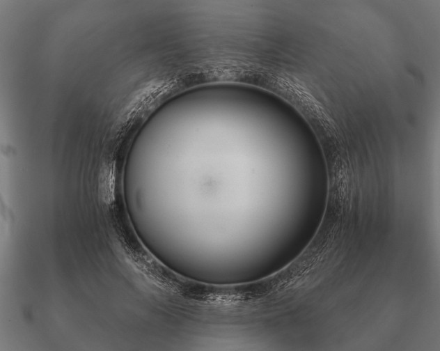 X0000090900694200708061504