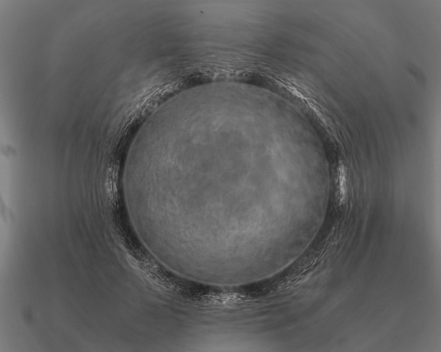 X0000090900695200708061504