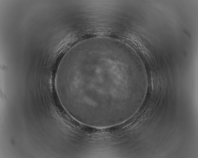 X0000090900696200708061504