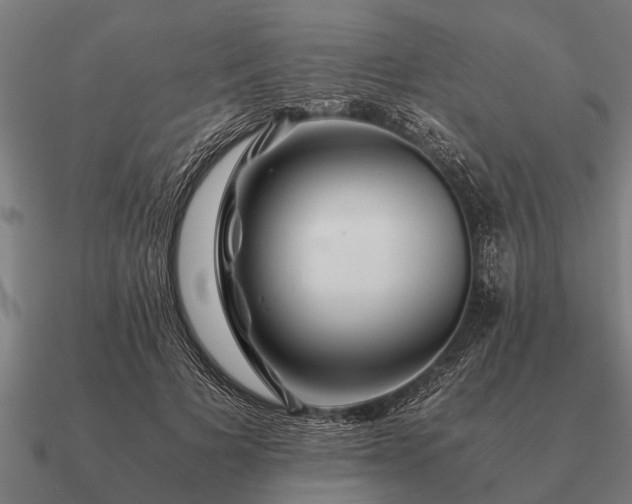 X0000090900697200708061504