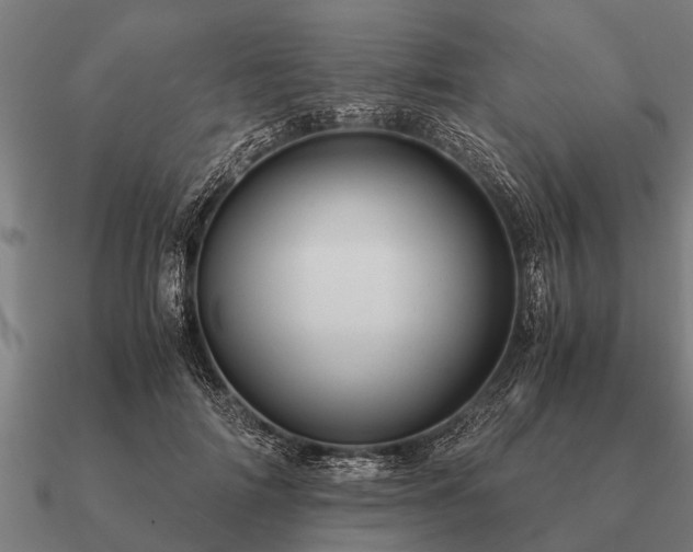 X0000090900698200708061504