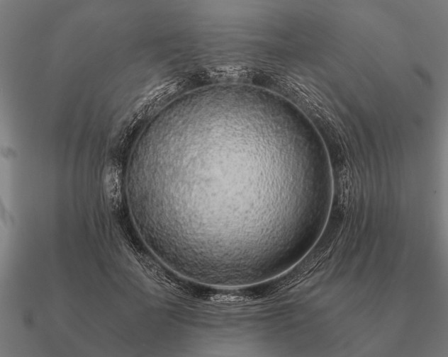 X0000090900699200708061504