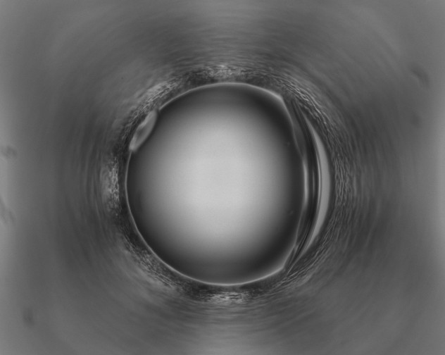 X0000090900700200708061504