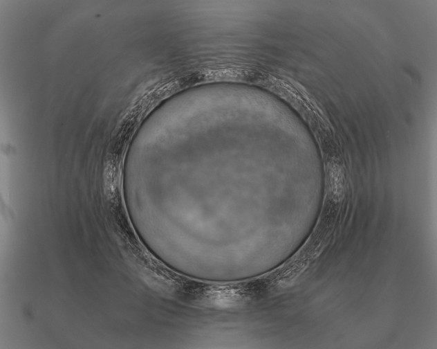 X0000090900701200708061504