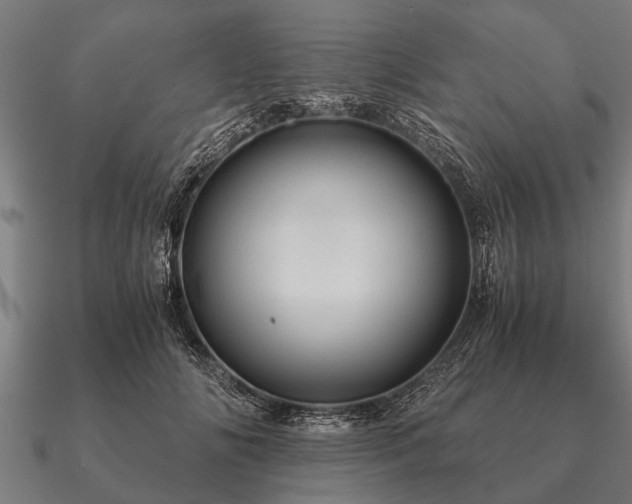 X0000090900702200708061504