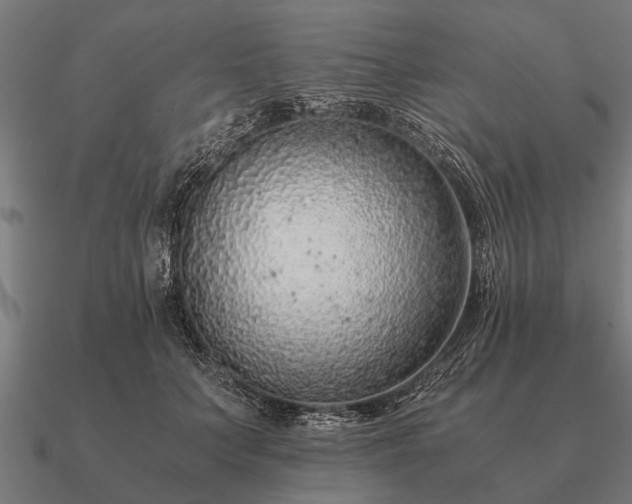 X0000090900703200708061504