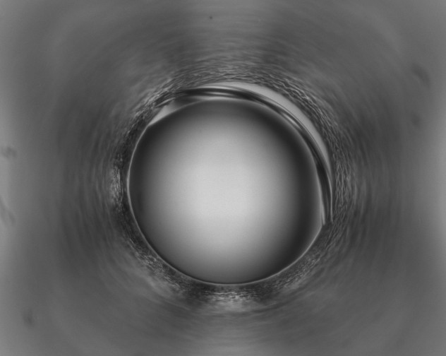 X0000090900704200708061504