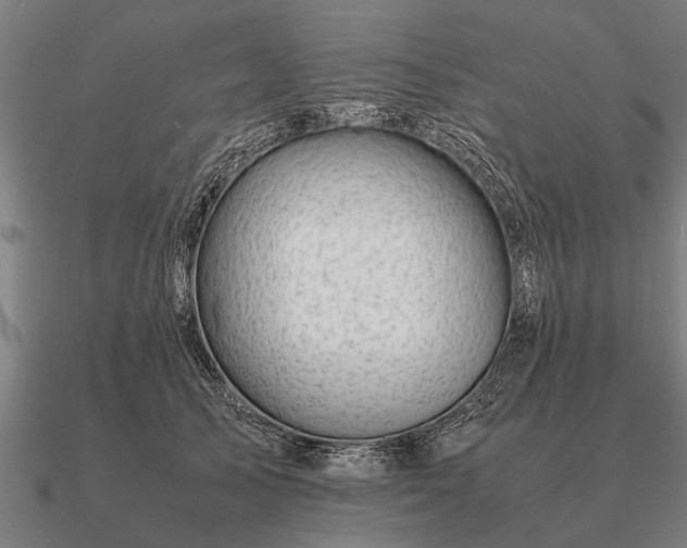 X0000090900705200708061504