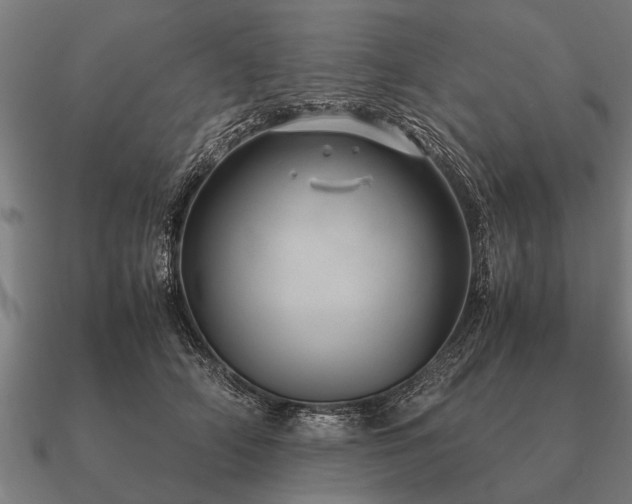 X0000090900706200708061504