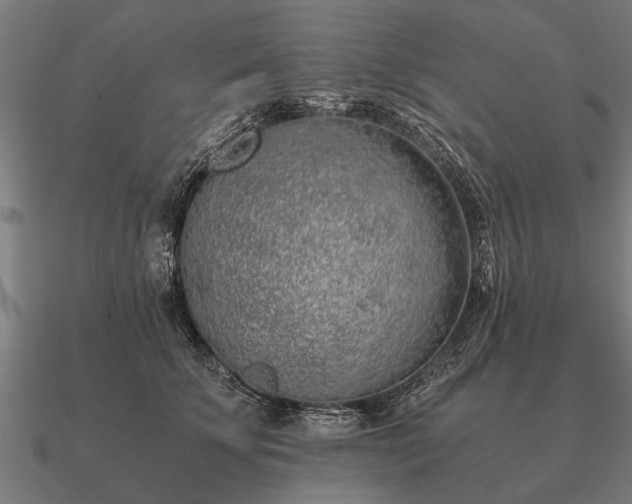 X0000090900707200708061504