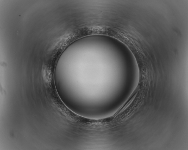 X0000090900708200708061504