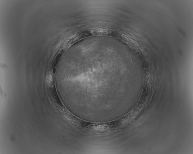 X0000090900709200708061504