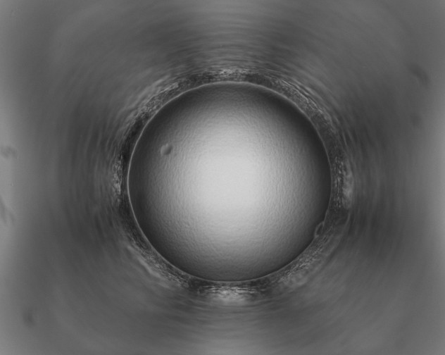 X0000090900710200708061504