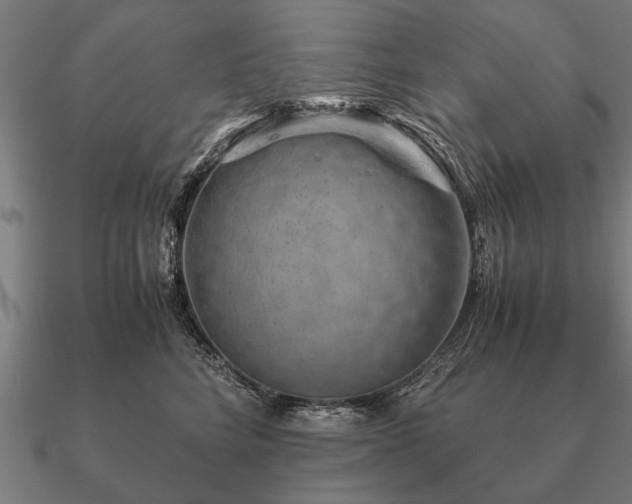 X0000090900712200708061504