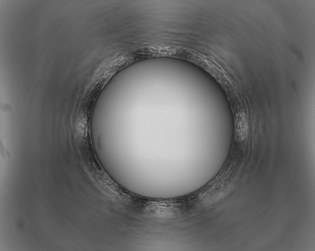 X0000090900713200708061504