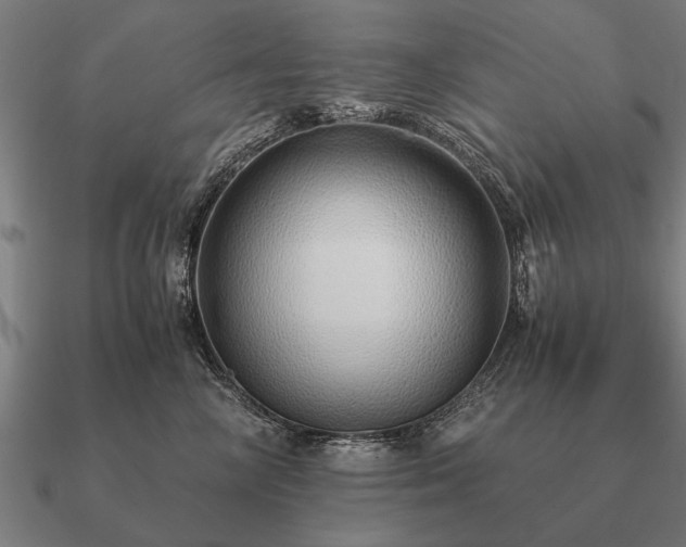 X0000090900714200708061504