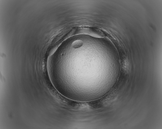 X0000090900715200708061504