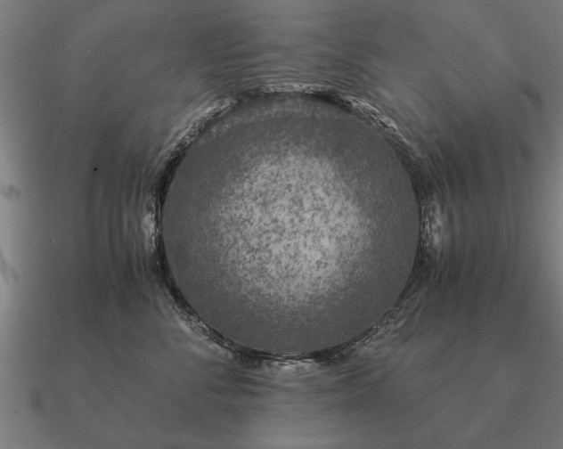 X0000090900716200708061504