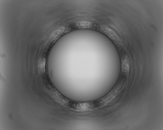 X0000090900717200708061504