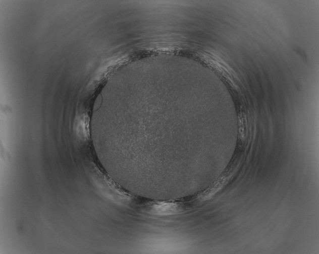 X0000090900718200708061504