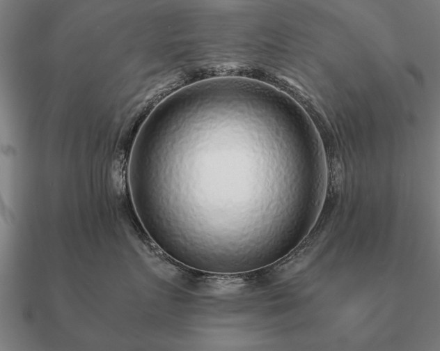 X0000090900719200708061504