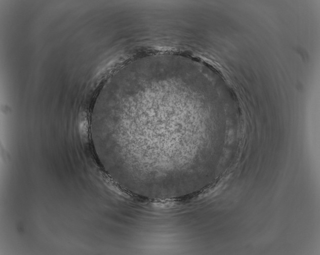 X0000090900720200708061504