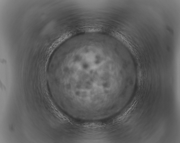 X0000090900721200708061503