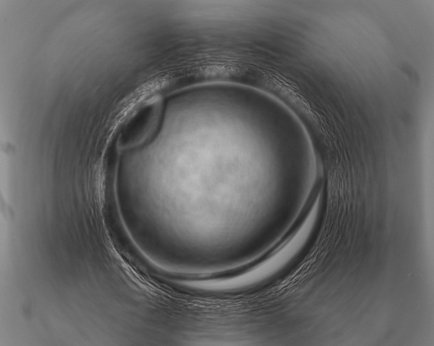 X0000090900722200708061503