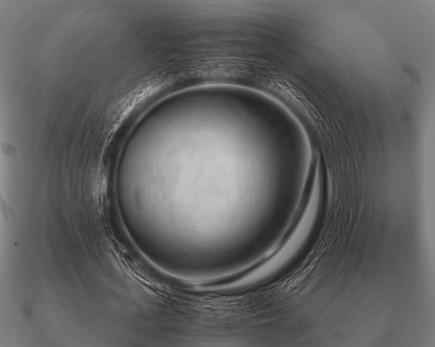 X0000090900723200708061503