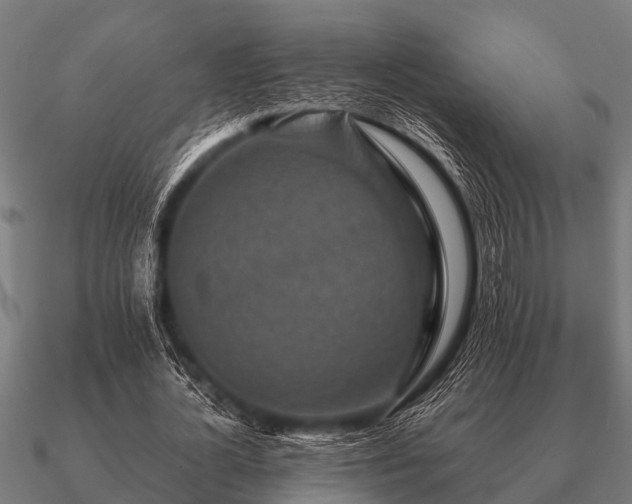 X0000090900724200708061503