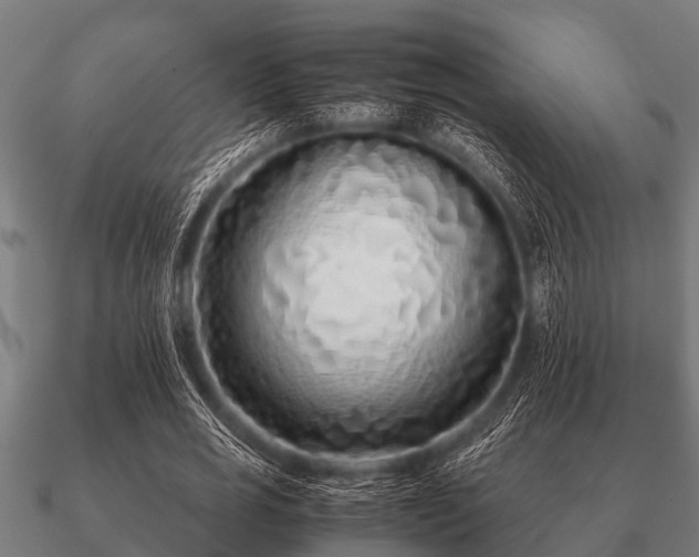 X0000090900725200708061503