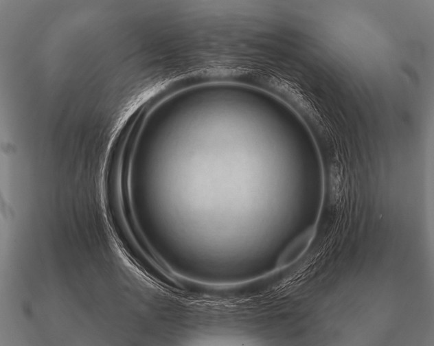 X0000090900726200708061503