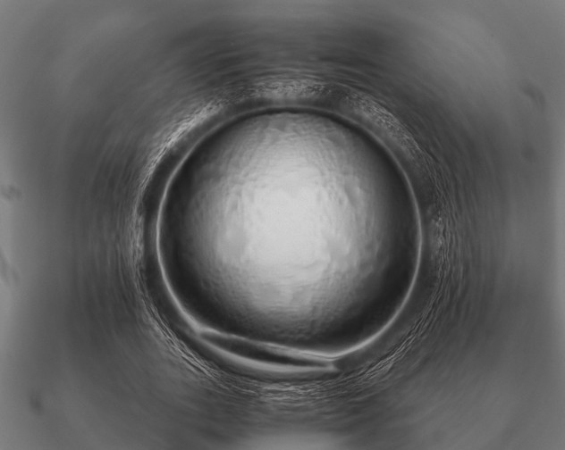 X0000090900727200708061503