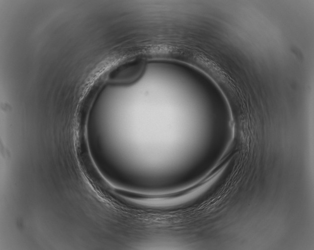 X0000090900728200708061503