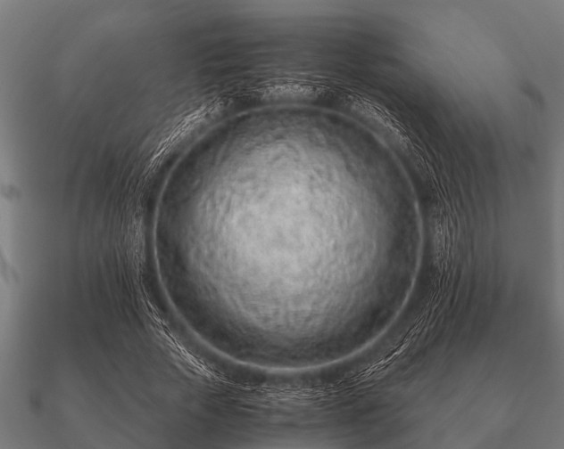 X0000090900729200708061503