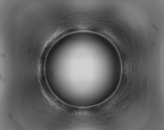 X0000090900730200708061503