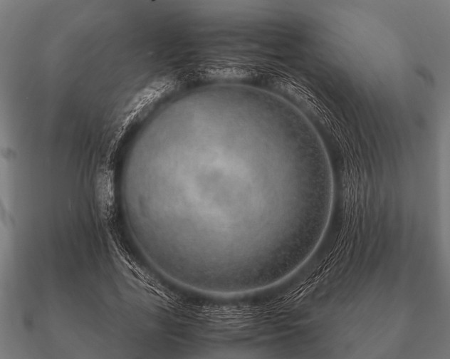 X0000090900731200708061503