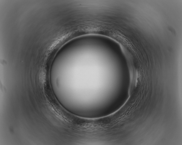 X0000090900732200708061503