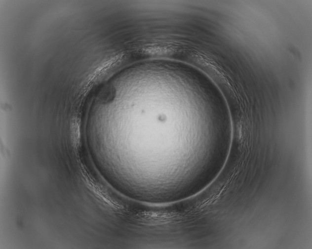 X0000090900733200708061503