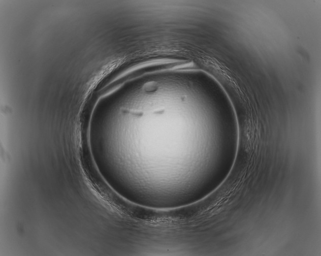 X0000090900734200708061503