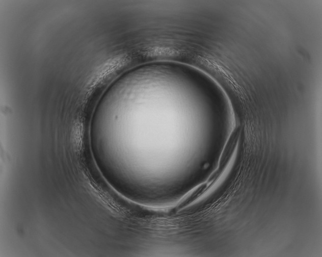 X0000090900735200708061503